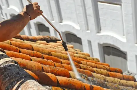 Nettoyage de toitures - Cour-Maugis sur Huisne